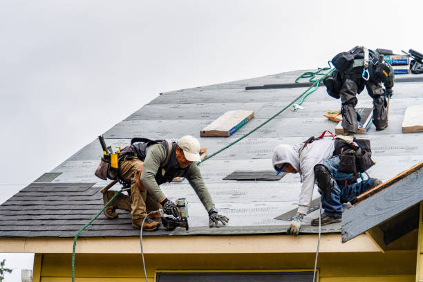Professional Gutter Installation technician working in Hallsville, TX